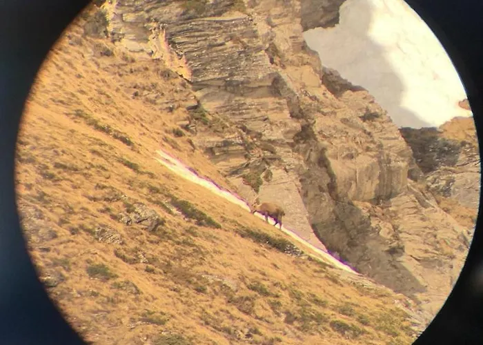 Bed & Breakfast Montagn'arcs Bourg-Saint-Maurice