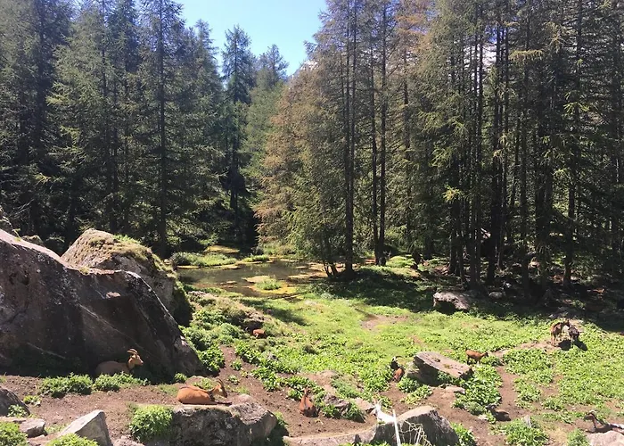 Bed & Breakfast Montagn'arcs 4*
