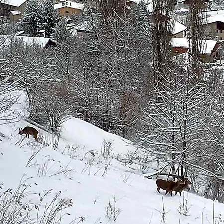 Bed & Breakfast Montagn'arcs Bourg-Saint-Maurice